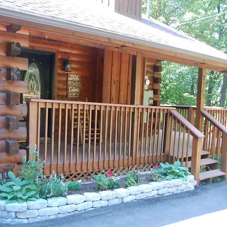 His Promises Cabin Pigeon Forge Exterior foto